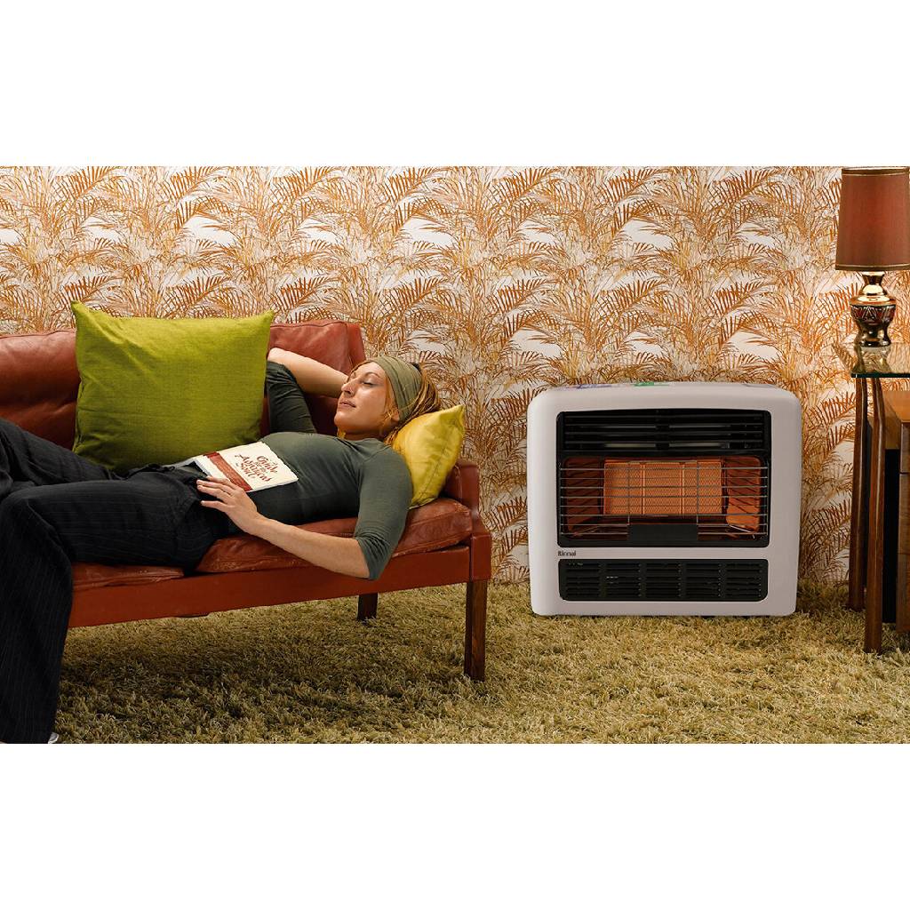 Rinnai 252SN2 Silver Granada 252 Natural Gas Heater
