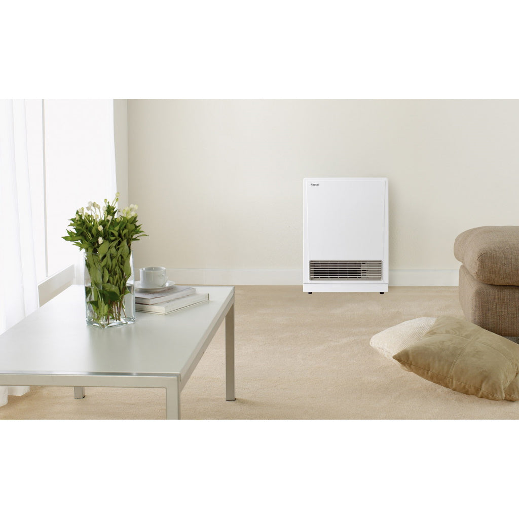 Rinnai 561FTSN Energysaver Natural Gas Heater - The Appliance Guys